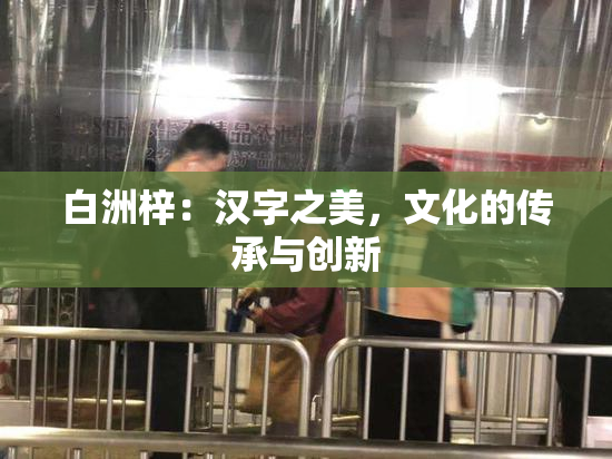 白洲梓：汉字之美，文化的传承与创新