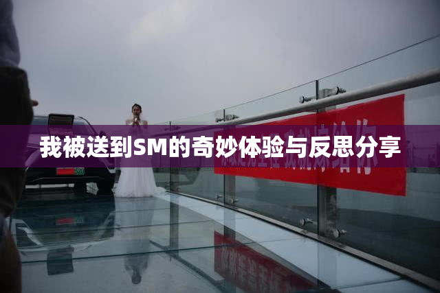 我被送到SM的奇妙体验与反思分享