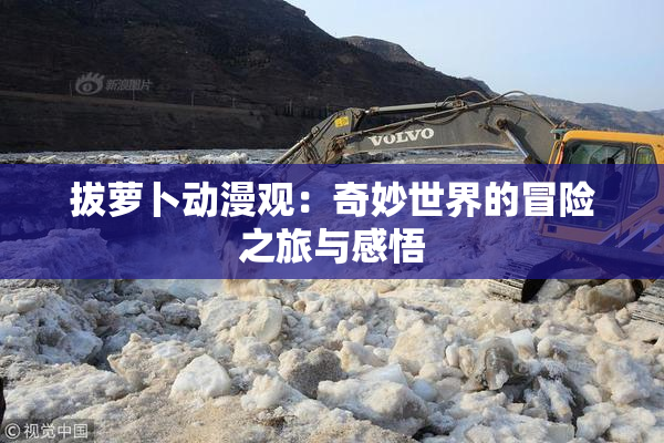 拔萝卜动漫观：奇妙世界的冒险之旅与感悟