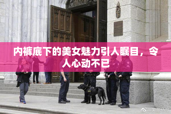 内裤底下的美女魅力引人瞩目，令人心动不已