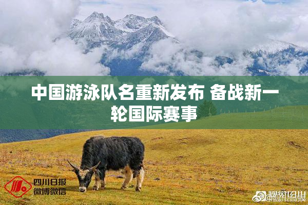 中国游泳队名重新发布 备战新一轮国际赛事