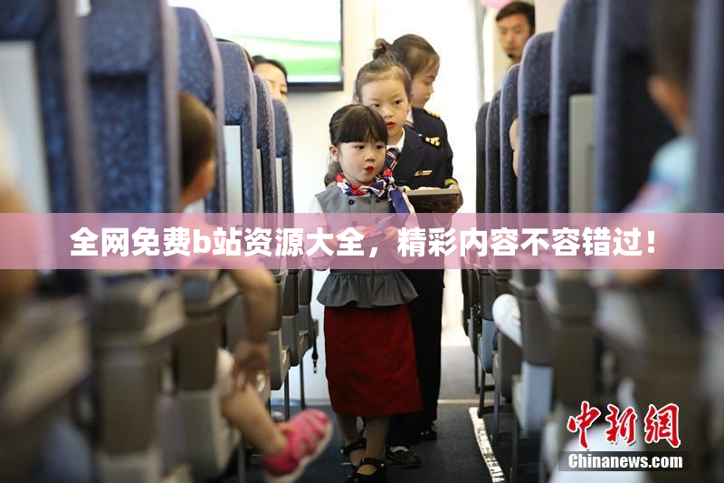 全网免费b站资源大全，精彩内容不容错过！