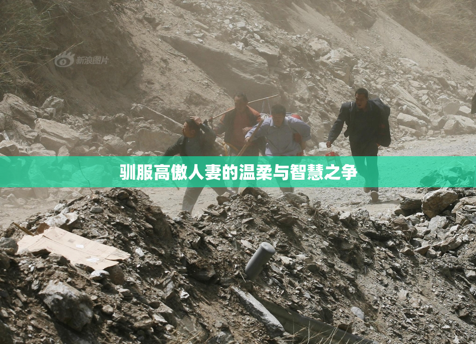 驯服高傲人妻的温柔与智慧之争