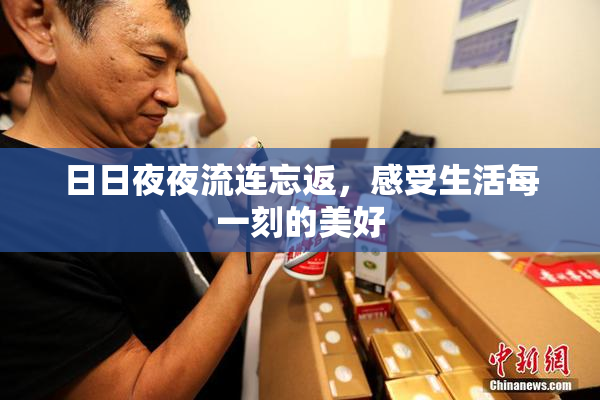 日日夜夜流连忘返，感受生活每一刻的美好