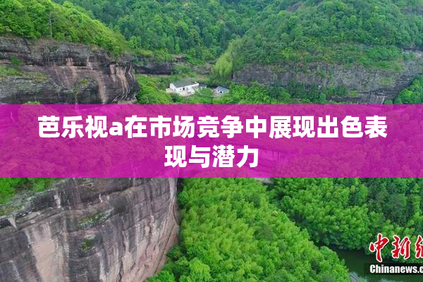 芭乐视a在市场竞争中展现出色表现与潜力