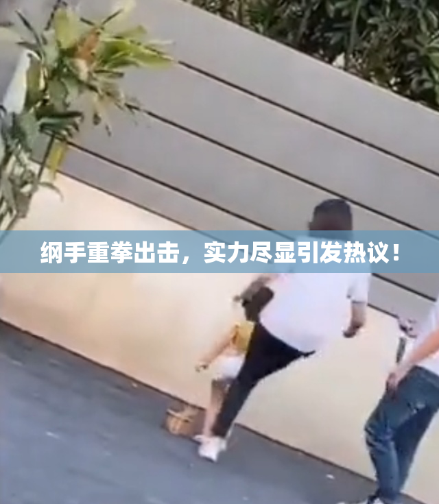 纲手重拳出击，实力尽显引发热议！