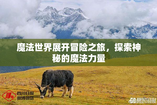 魔法世界展开冒险之旅，探索神秘的魔法力量