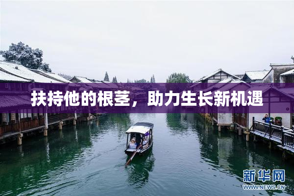 扶持他的根茎，助力生长新机遇
