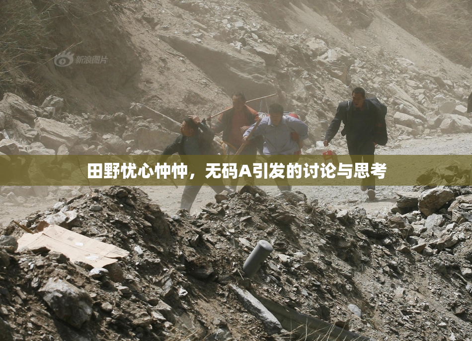田野忧心忡忡，无码A引发的讨论与思考
