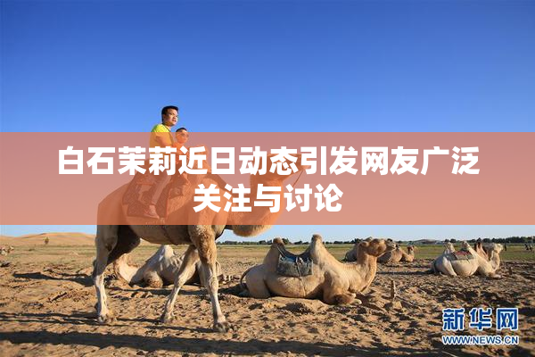 白石茉莉近日动态引发网友广泛关注与讨论