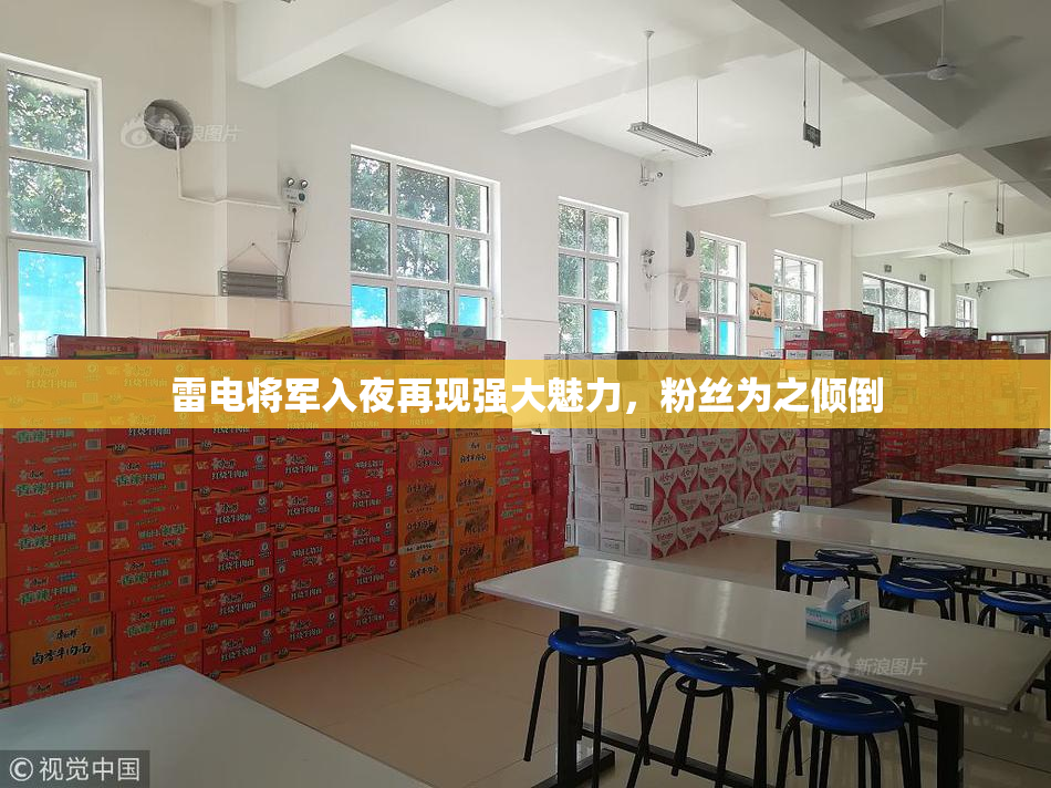 雷电将军入夜再现强大魅力，粉丝为之倾倒