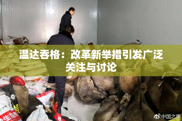 温达吞格：改革新举措引发广泛关注与讨论