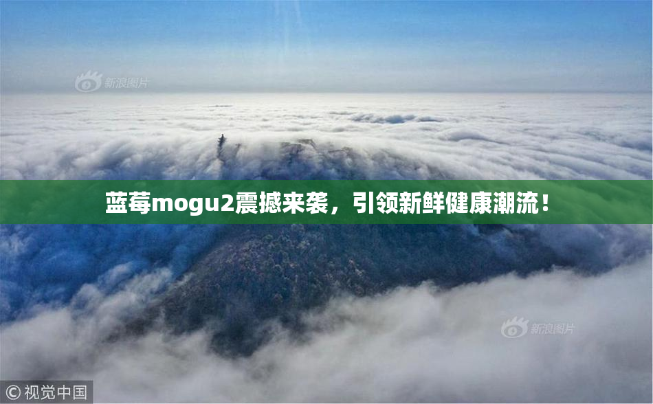 蓝莓mogu2震撼来袭，引领新鲜健康潮流！