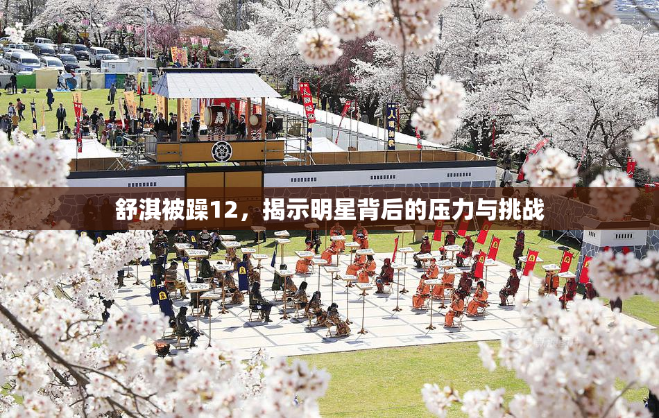 舒淇被躁12，揭示明星背后的压力与挑战