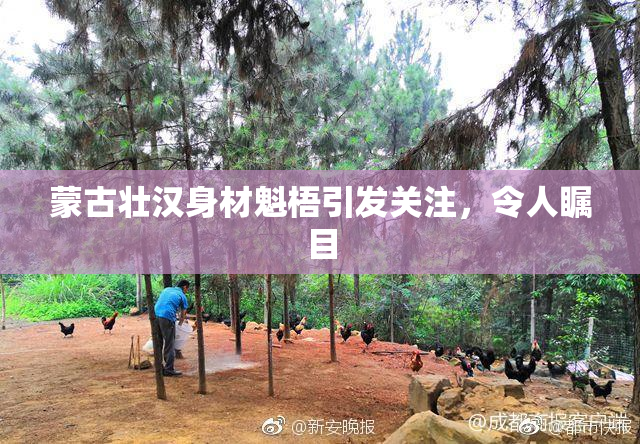 蒙古壮汉身材魁梧引发关注，令人瞩目