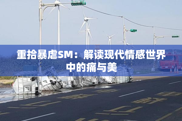 重拾暴虐SM：解读现代情感世界中的痛与美