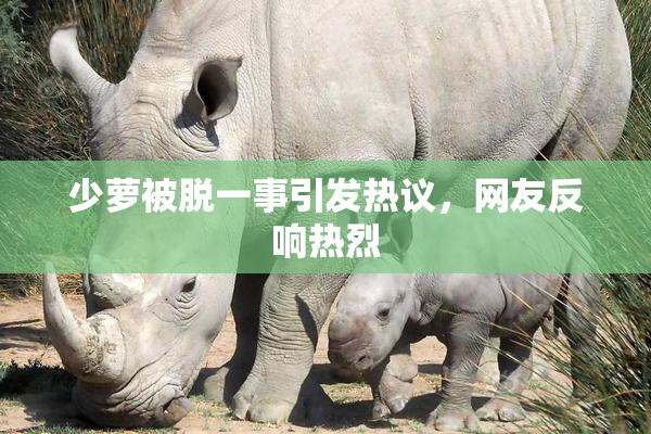 少萝被脱一事引发热议，网友反响热烈