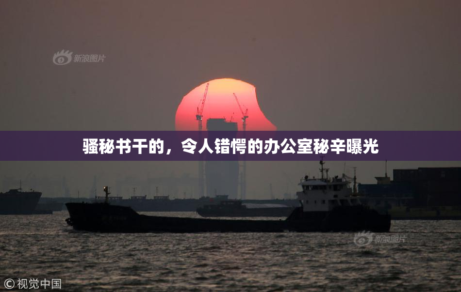 骚秘书干的，令人错愕的办公室秘辛曝光