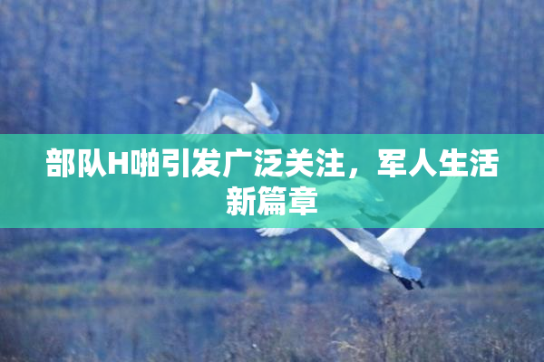 部队H啪引发广泛关注，军人生活新篇章