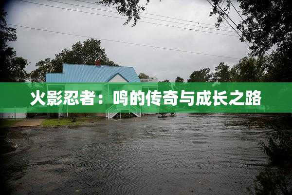 火影忍者：鸣的传奇与成长之路