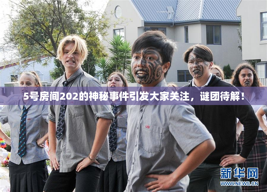 5号房间202的神秘事件引发大家关注，谜团待解！