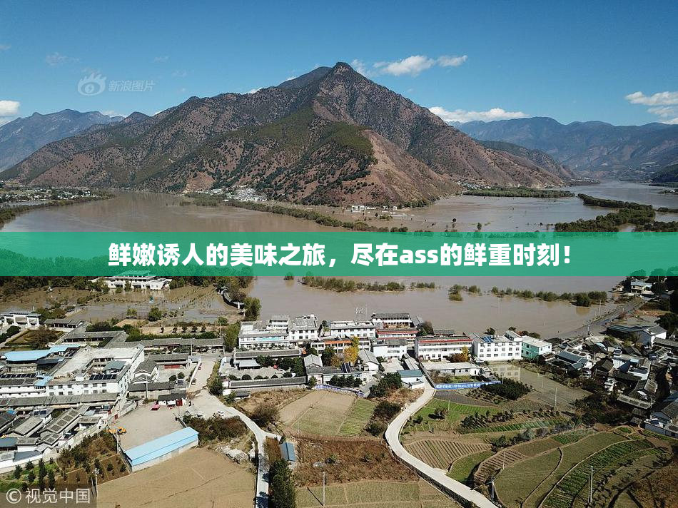 鲜嫩诱人的美味之旅，尽在ass的鲜重时刻！