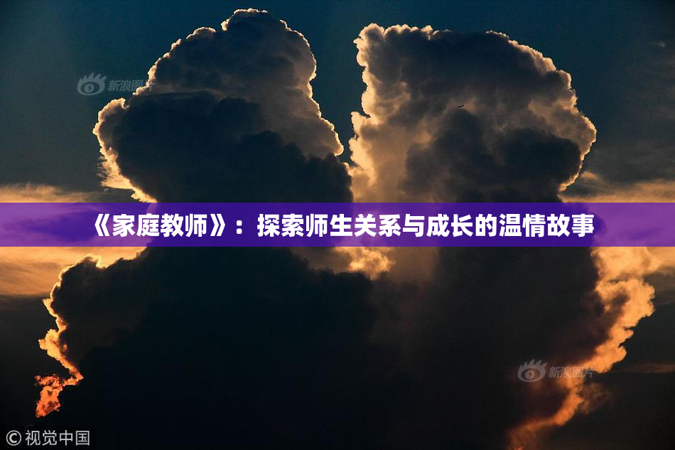 《家庭教师》：探索师生关系与成长的温情故事