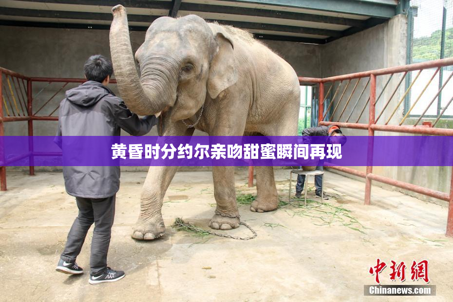 黄昏时分约尔亲吻甜蜜瞬间再现