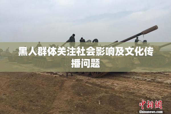 黑人群体关注社会影响及文化传播问题