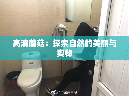 高清蘑菇：探索自然的美丽与奥秘