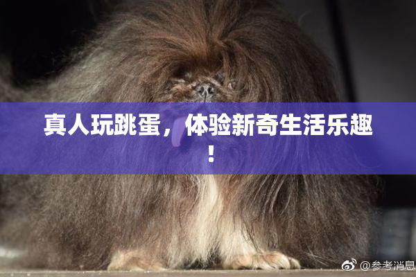 真人玩跳蛋，体验新奇生活乐趣！