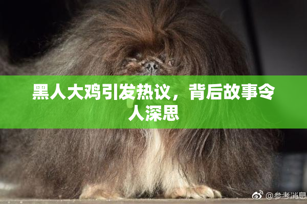 黑人大鸡引发热议，背后故事令人深思