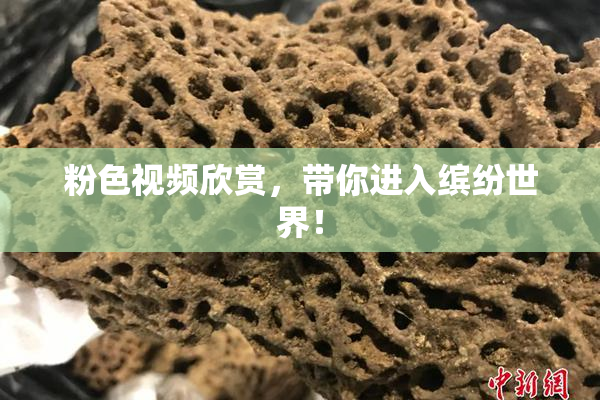粉色视频欣赏，带你进入缤纷世界！