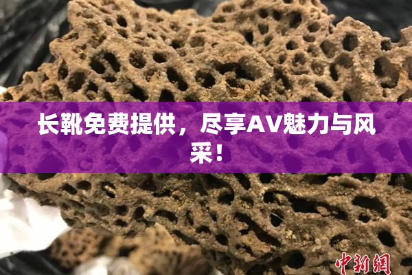 长靴免费提供，尽享AV魅力与风采！