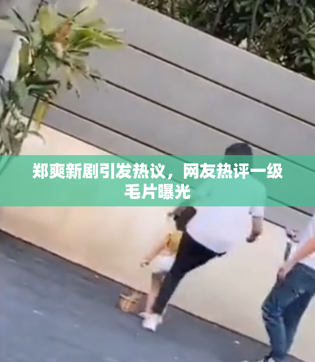 郑爽新剧引发热议，网友热评一级毛片曝光