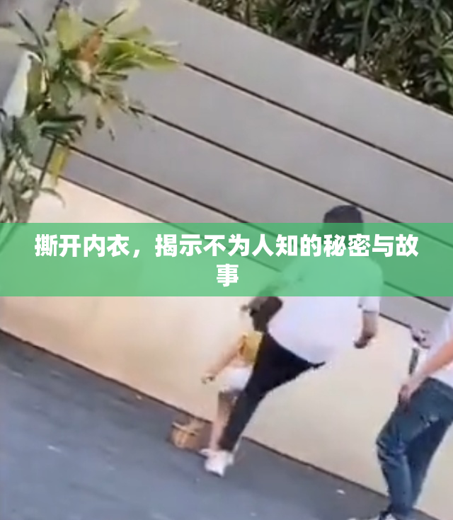 撕开内衣，揭示不为人知的秘密与故事