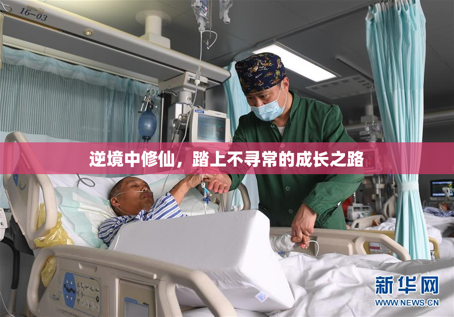 逆境中修仙，踏上不寻常的成长之路
