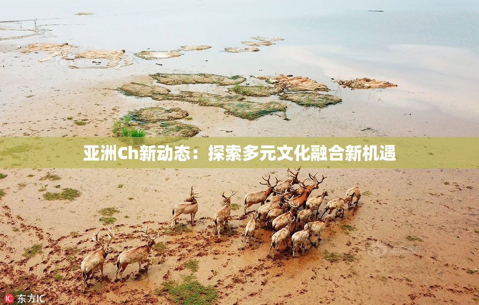 亚洲Ch新动态：探索多元文化融合新机遇