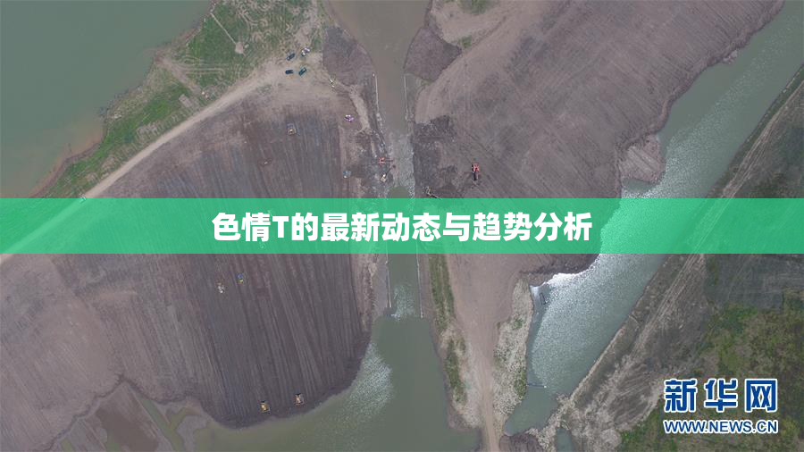 色情T的最新动态与趋势分析