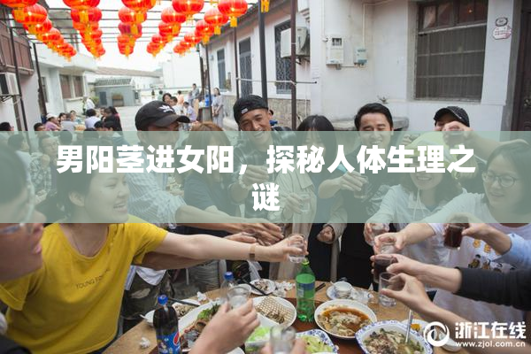 男阳茎进女阳，探秘人体生理之谜