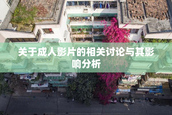关于成人影片的相关讨论与其影响分析