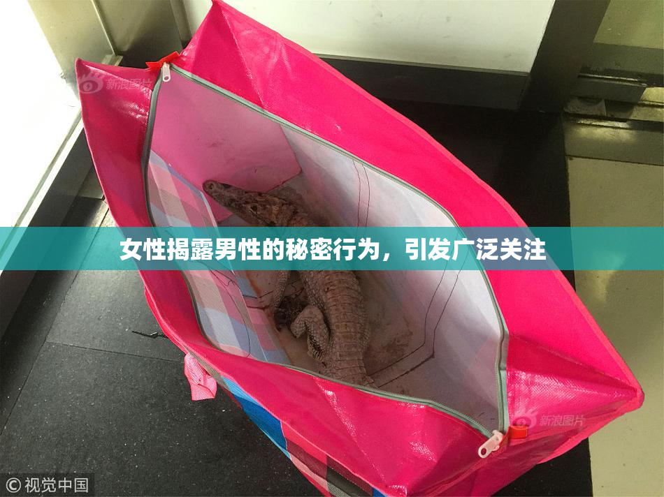 女性揭露男性的秘密行为，引发广泛关注