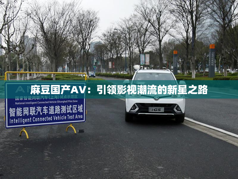 麻豆国产AV：引领影视潮流的新星之路