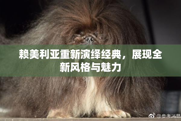 赖美利亚重新演绎经典，展现全新风格与魅力