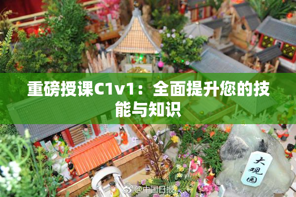 重磅授课C1v1：全面提升您的技能与知识