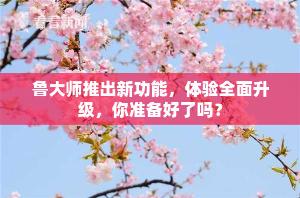 鲁大师推出新功能，体验全面升级，你准备好了吗？