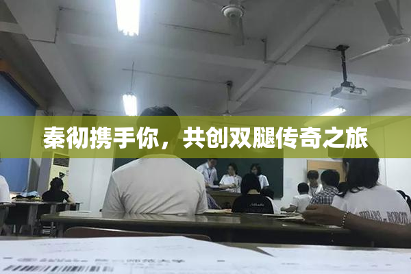 秦彻携手你，共创双腿传奇之旅
