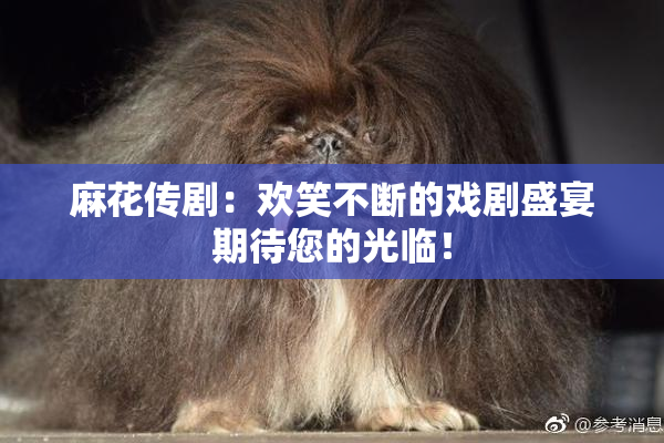 麻花传剧：欢笑不断的戏剧盛宴期待您的光临！