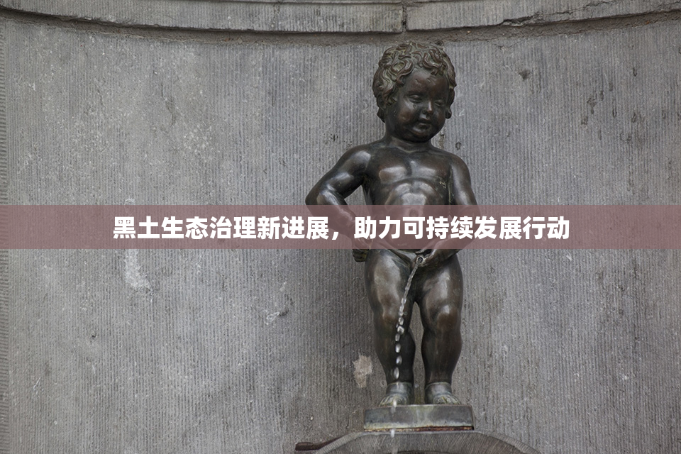 黑土生态治理新进展，助力可持续发展行动