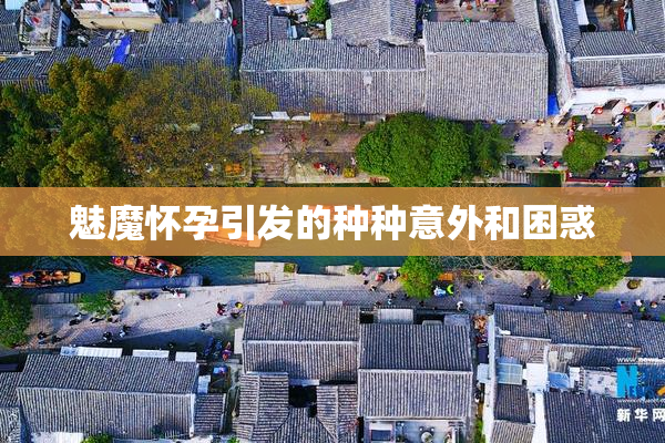 魅魔怀孕引发的种种意外和困惑